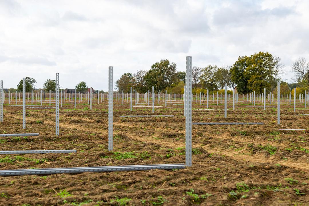 Blick auf ein Solarpark-Baugelände mit aufgestellten Stützpfosten für die Solarmodule