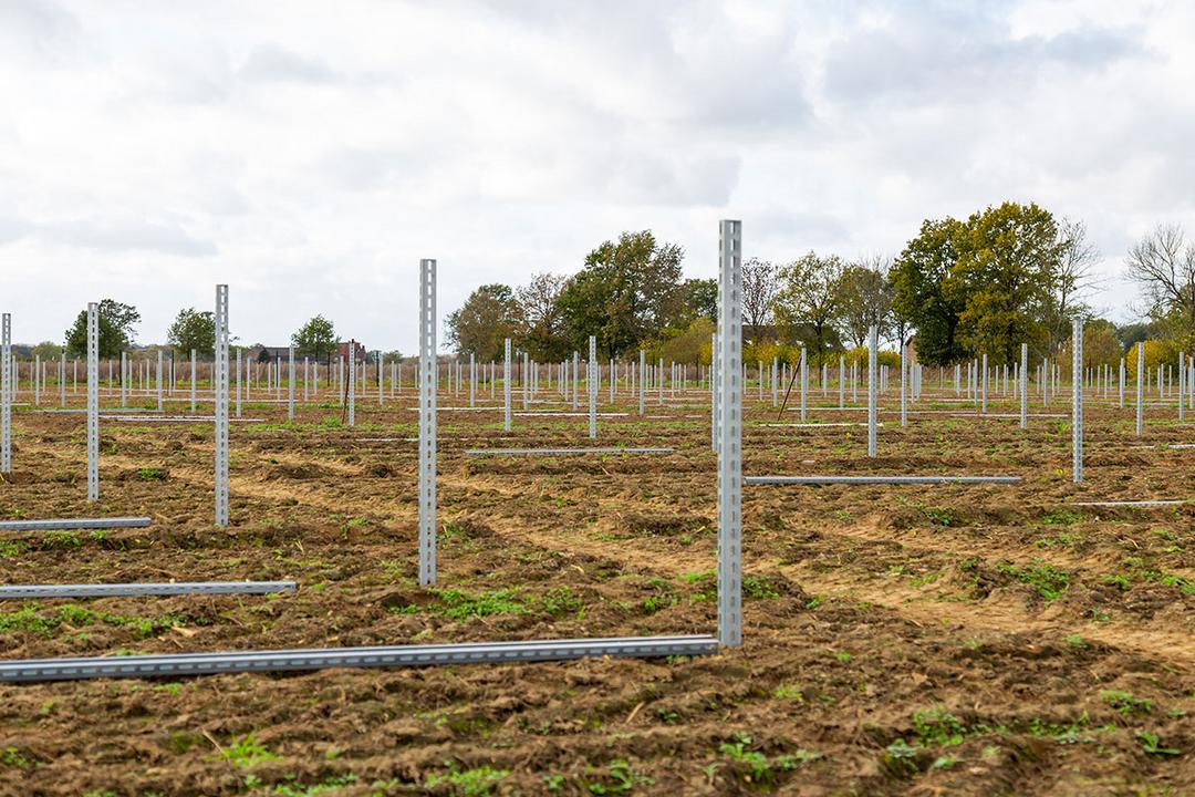 Blick auf ein Solarpark-Baugelände mit aufgestellten Stützpfosten für die Solarmodule