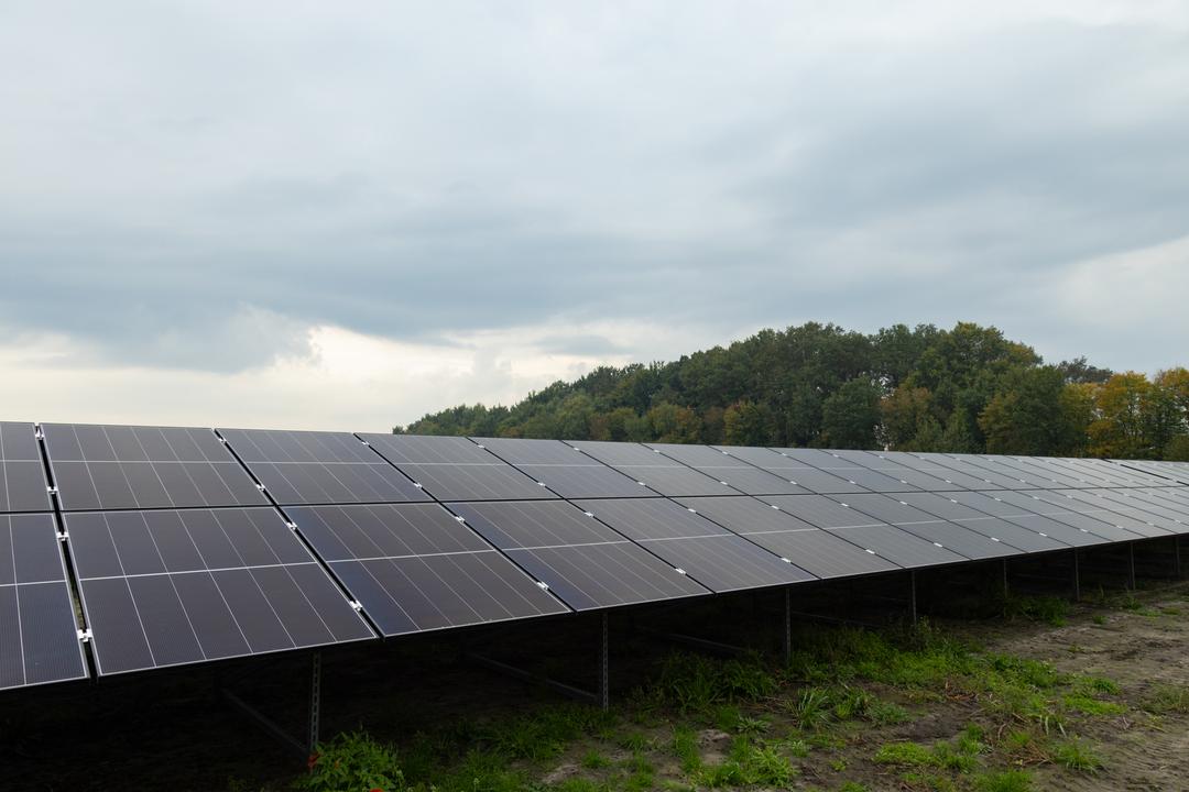 Modulreihe einer Photovoltaikanlage auf erdigem Untergrund, mit Bäumen und bewölktem Himmel im Hintergrund.