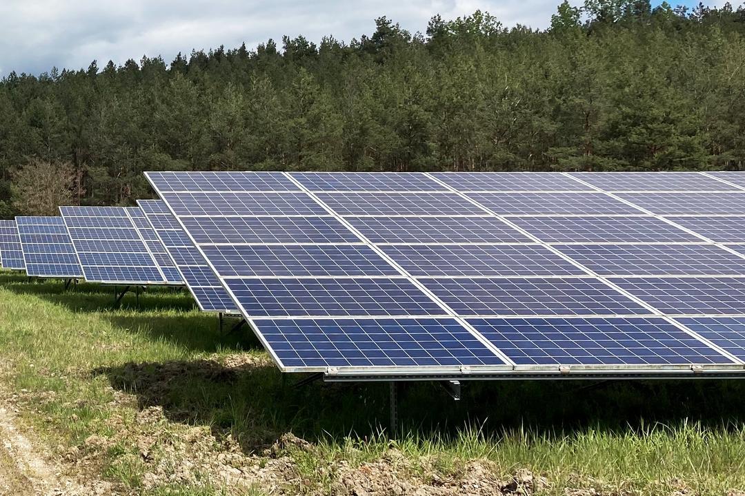 Mehrere Reihen von Solarmodulen in einem Freifeld-Solarpark, umgeben von Wiese und Wald im Hintergrund.