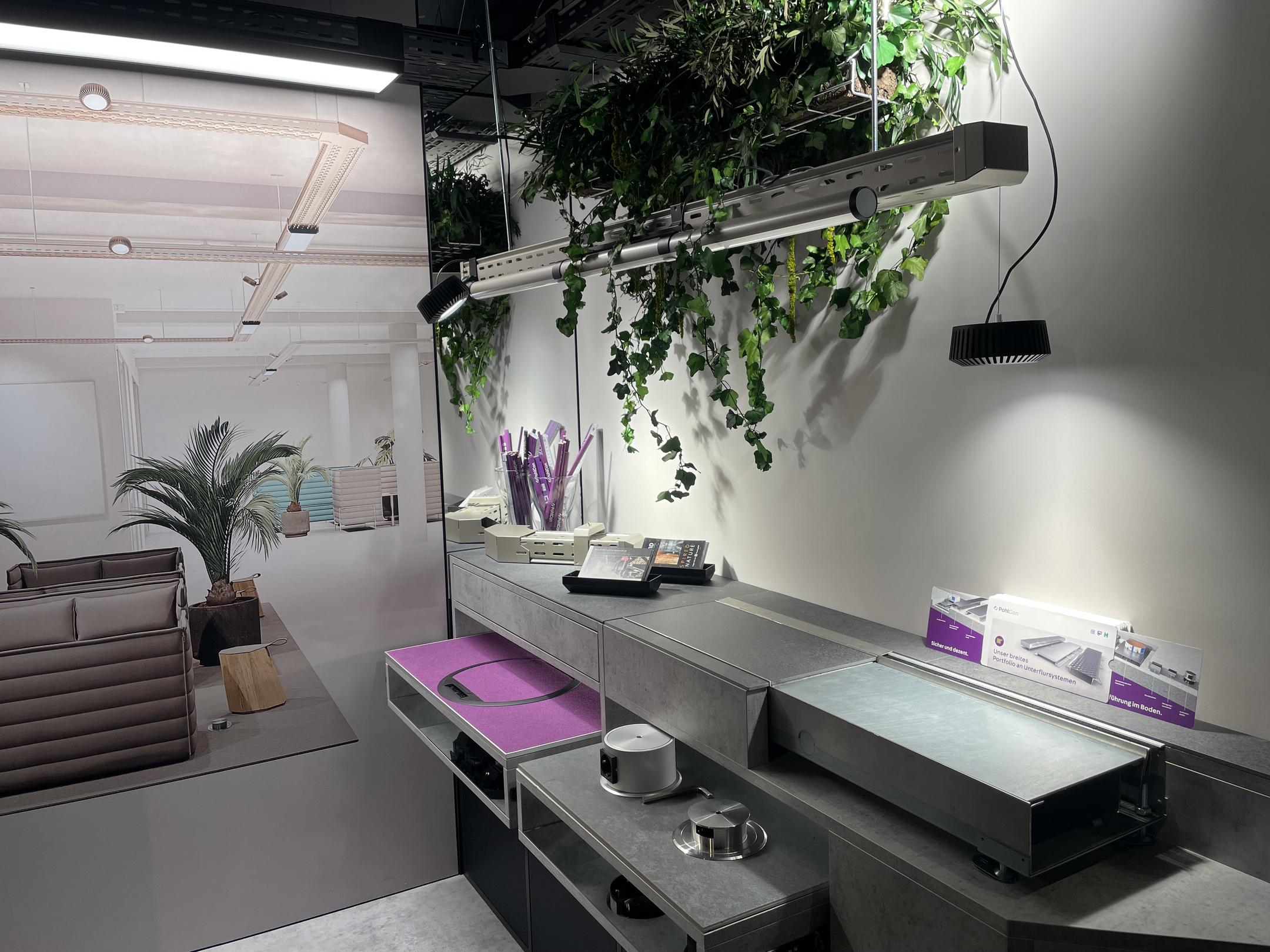 Blick in einen Raum, der im Industrial Chic eingerichtet ist: Die Oberflächen sind klar, schnörkellos und in Grautönen gehalten, eine Grünpflanze und violette Utensilien setzen Akzente.