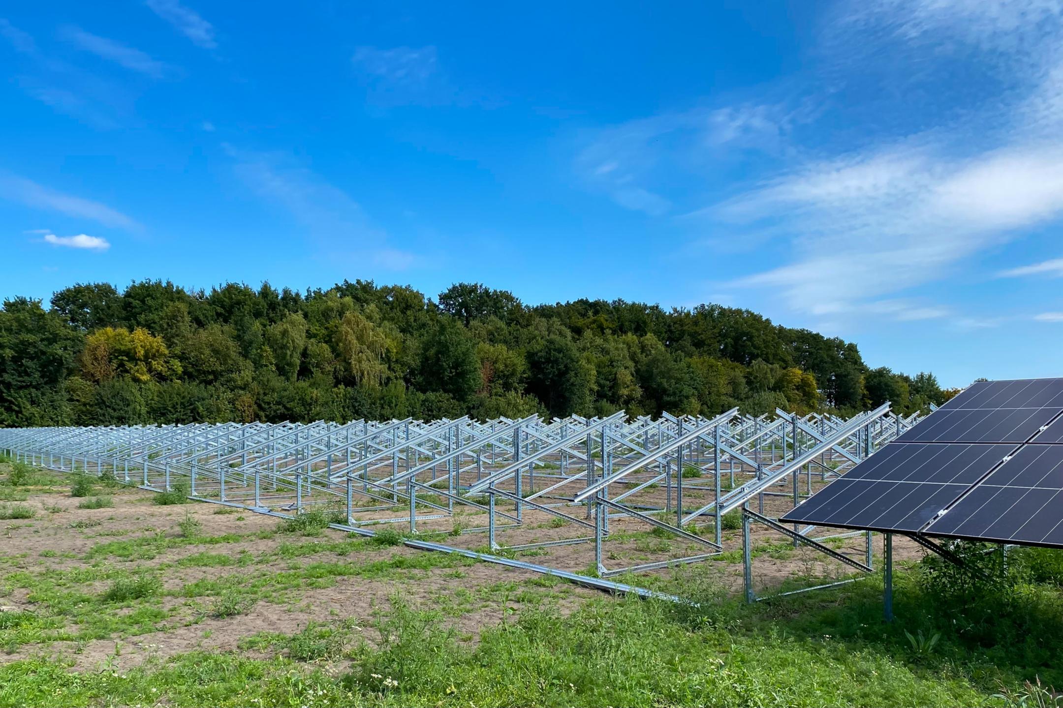 Montagegestelle für Solarmodule auf freiem Feld vor bewaldetem Hintergrund unter blauem Himmel.