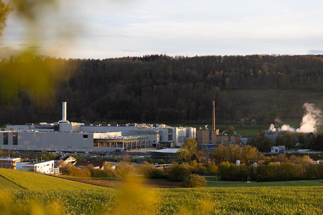 Blick auf die Papierfabrik aus der Distanz, aufgenommen zwischen Baumen und Sträuchern