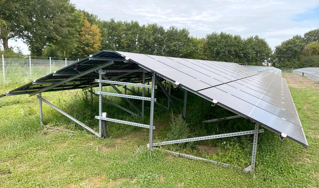 Ost-West-ausgerichtete PV-Unterkonstruktion mit doppelseitig belegten Modulen auf verzinktem Stahlgestell über begrünter Fläche.