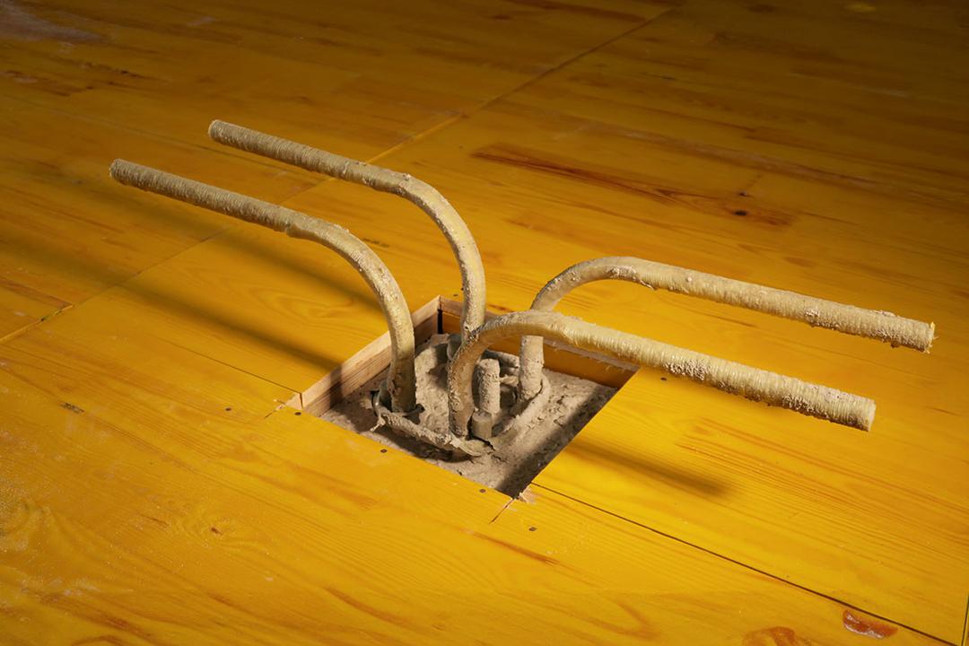 Mehrere gebogene Bewehrungsstäbe ragen aus einer quadratischen Öffnung in einer Holzschalung.