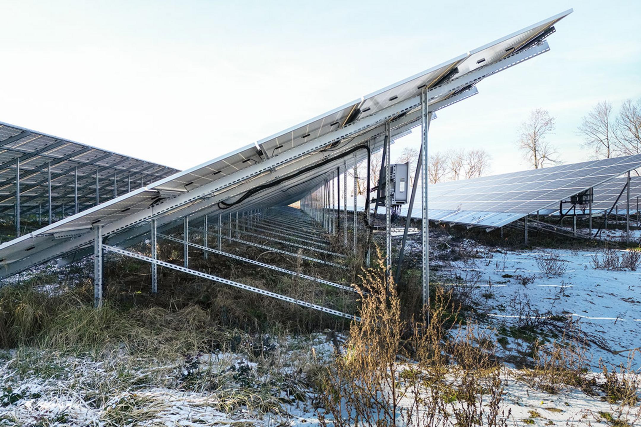 Seitenansicht auf Stützen mit montierten Solarpanelen, mit teilweise schneebedeckter Vegetation unter den Modulen
