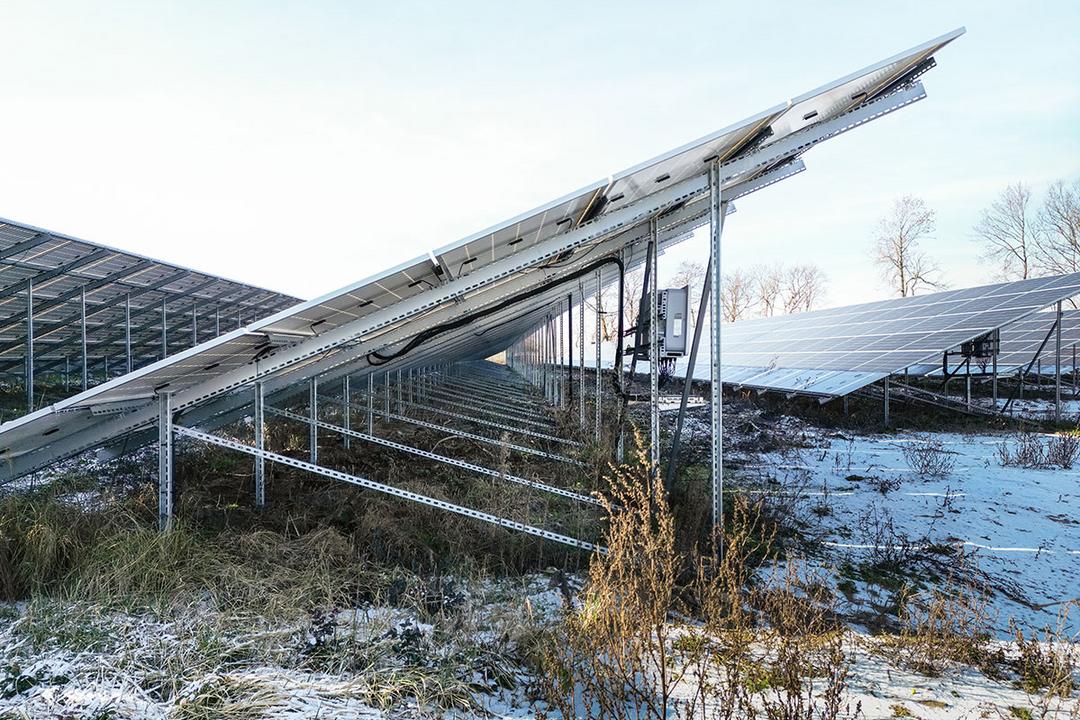Seitenansicht auf Stützen mit montierten Solarpanelen, mit teilweise schneebedeckter Vegetation unter den Modulen
