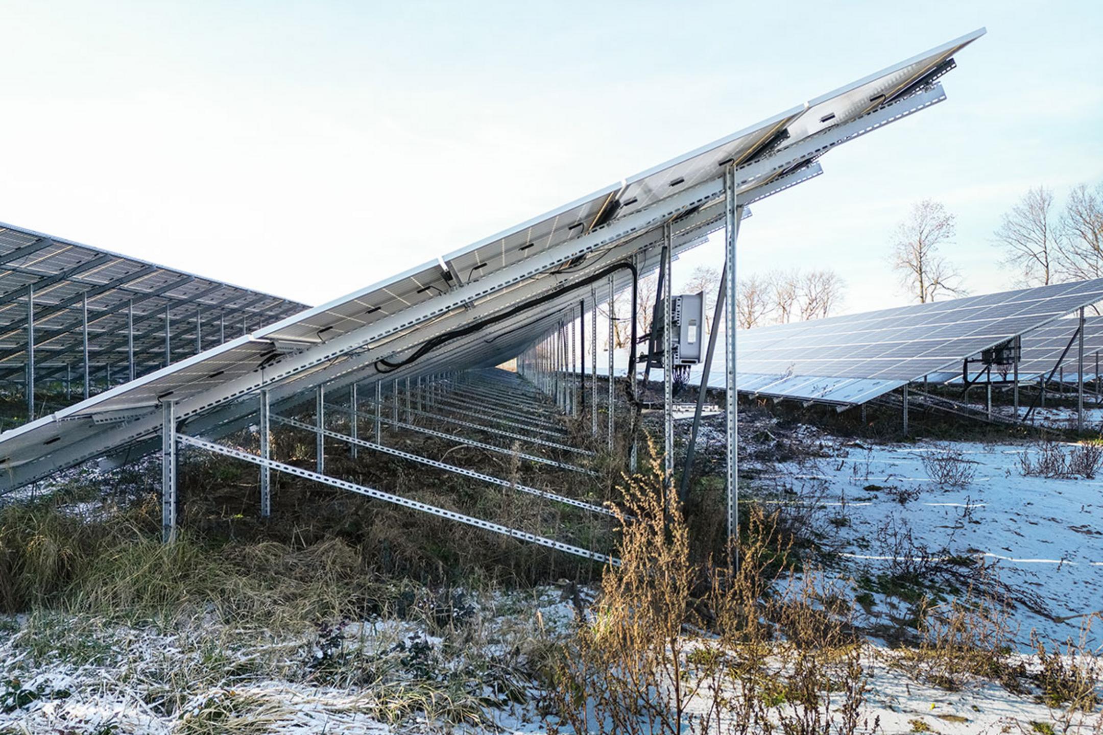 Seitenansicht auf Stützen mit montierten Solarpanelen, mit teilweise schneebedeckter Vegetation unter den Modulen