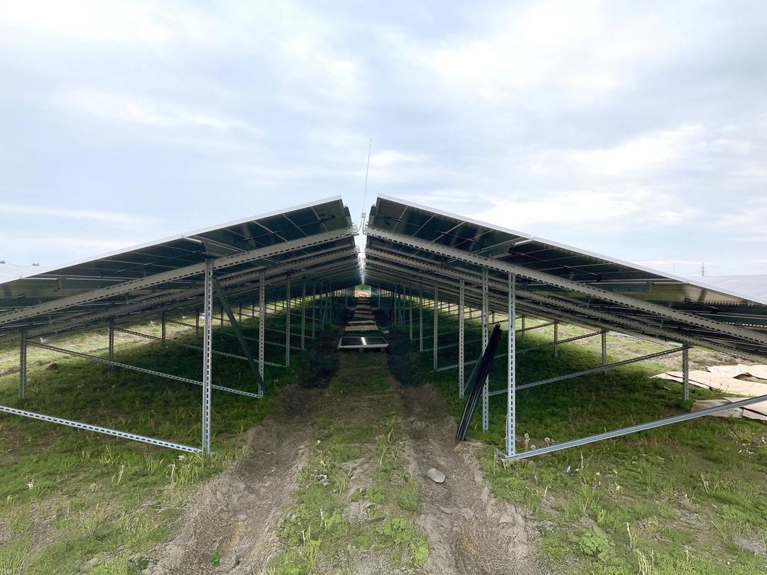 Blick in die Mittelgasse eines doppelseitigen Ost-West-PV-Systems mit verzinkter Stahlunterkonstruktion über begrüntem Boden.