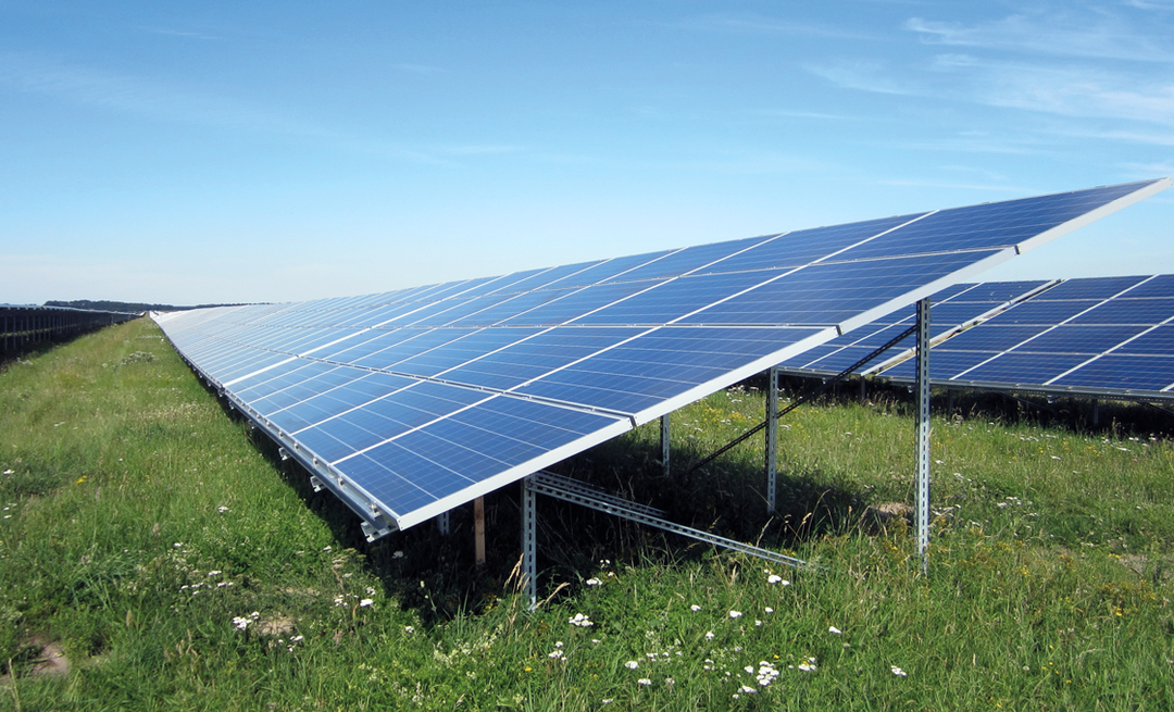 Photovoltaikanlage auf grüner Wiese mit Blumen unter blauem Himmel – Reihenweise Module auf Stahl-Unterkonstruktion.