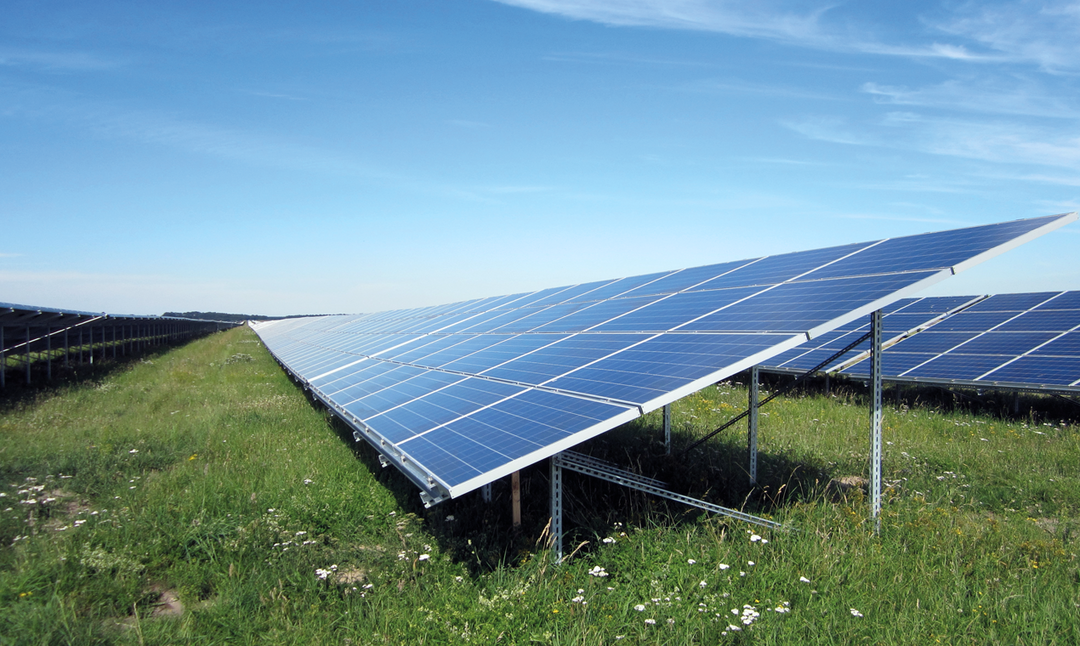Photovoltaikanlage auf grüner Wiese mit Blumen unter blauem Himmel – Reihenweise Module auf Stahl-Unterkonstruktion.