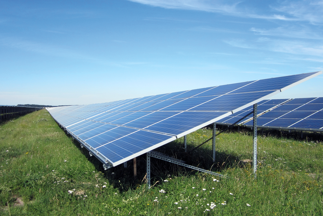 Photovoltaikanlage auf grüner Wiese mit Blumen unter blauem Himmel – Reihenweise Module auf Stahl-Unterkonstruktion.