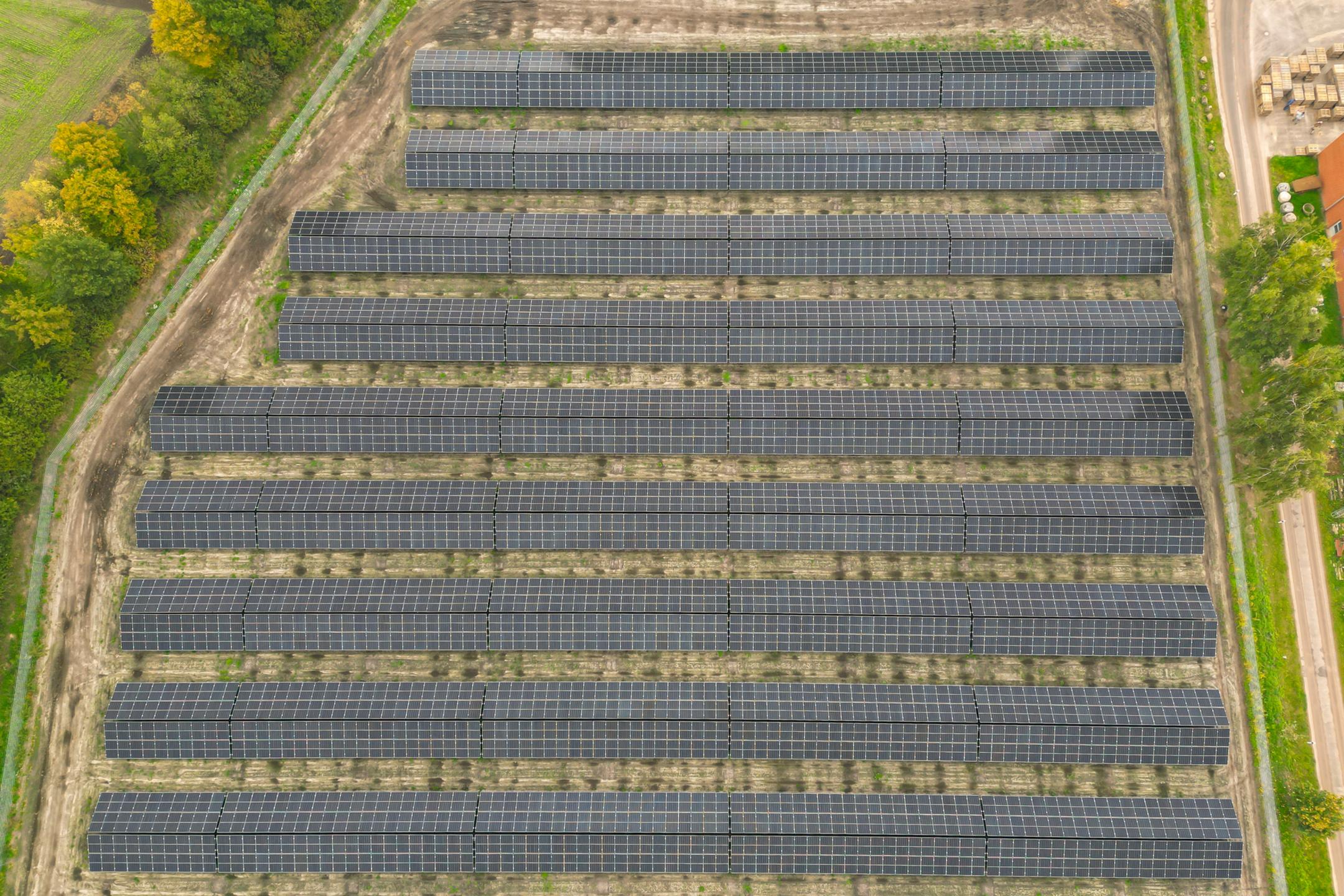 Luftaufnahme einer Photovoltaikanlage mit angrenzenden Bäumen.