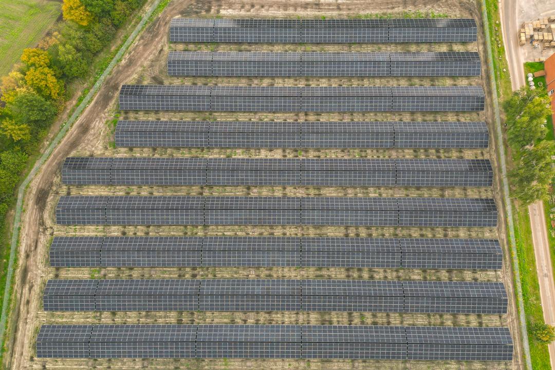 Luftaufnahme einer Photovoltaikanlage mit angrenzenden Bäumen.