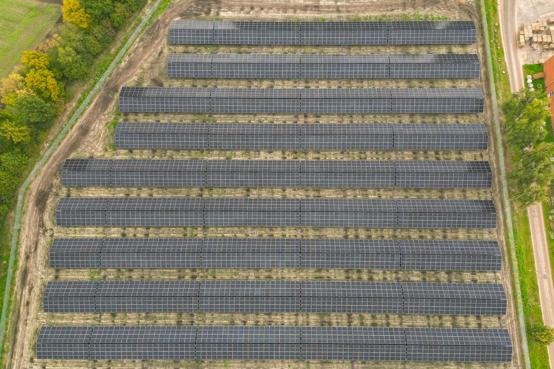 Luftaufnahme einer Photovoltaikanlage mit angrenzenden Bäumen.
