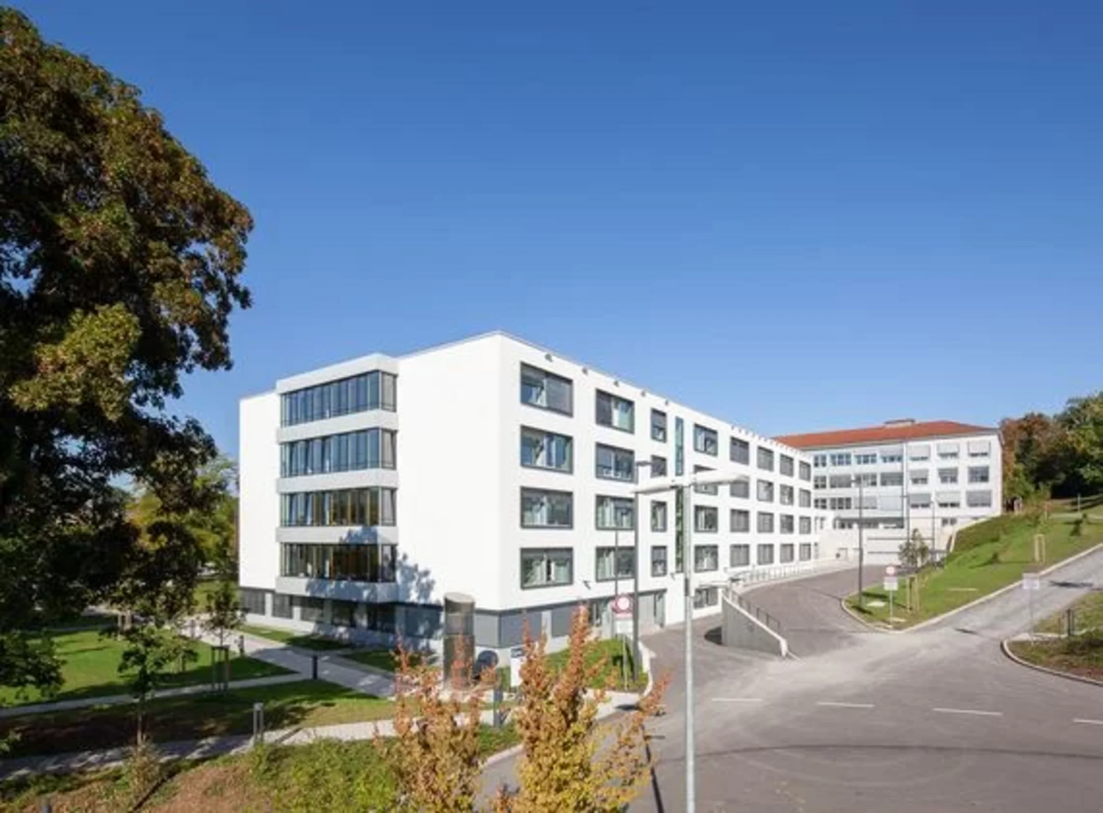 Die weiß strahlende Klinik vor blauem Himmel, im Vordergrund ein großer Baum.