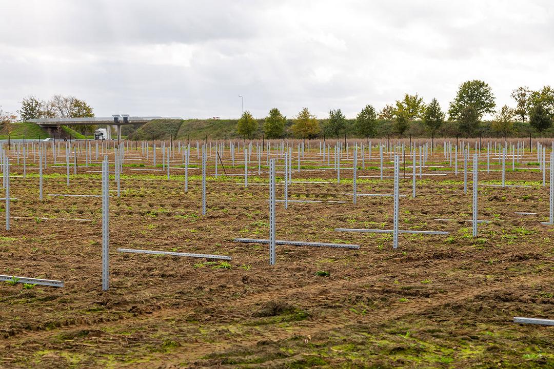 Feld mit aufgestellten Stützen, am Boden liegen Stützen, bewölkter Himmel